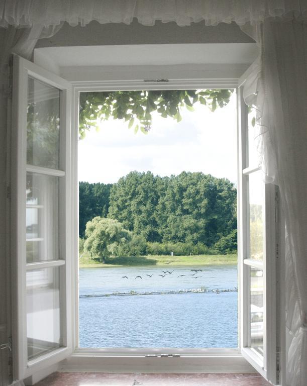 Rhein River Guesthouse - Direkt Am Rhein Leverkusen Ngoại thất bức ảnh