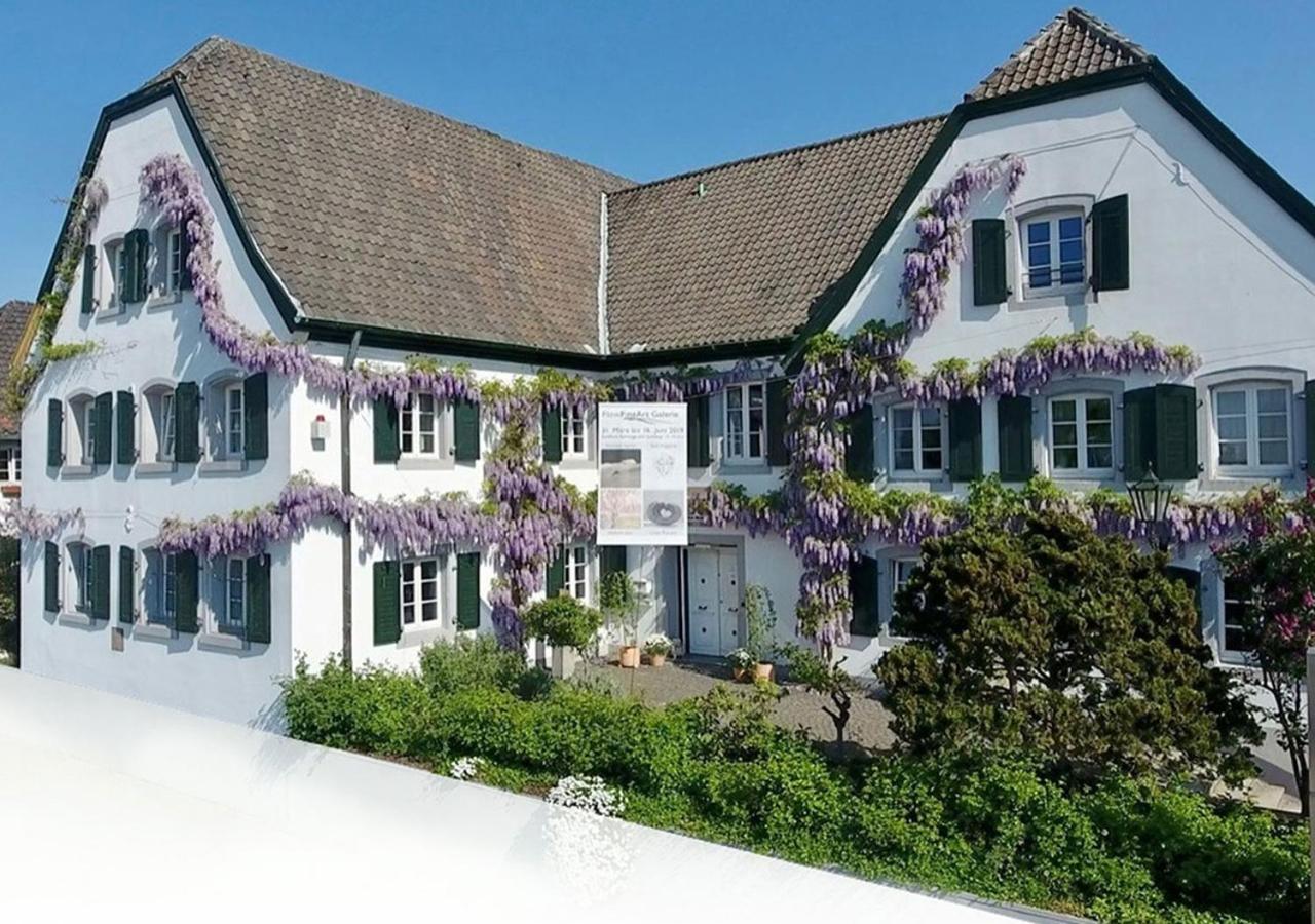 Rhein River Guesthouse - Direkt Am Rhein Leverkusen Ngoại thất bức ảnh