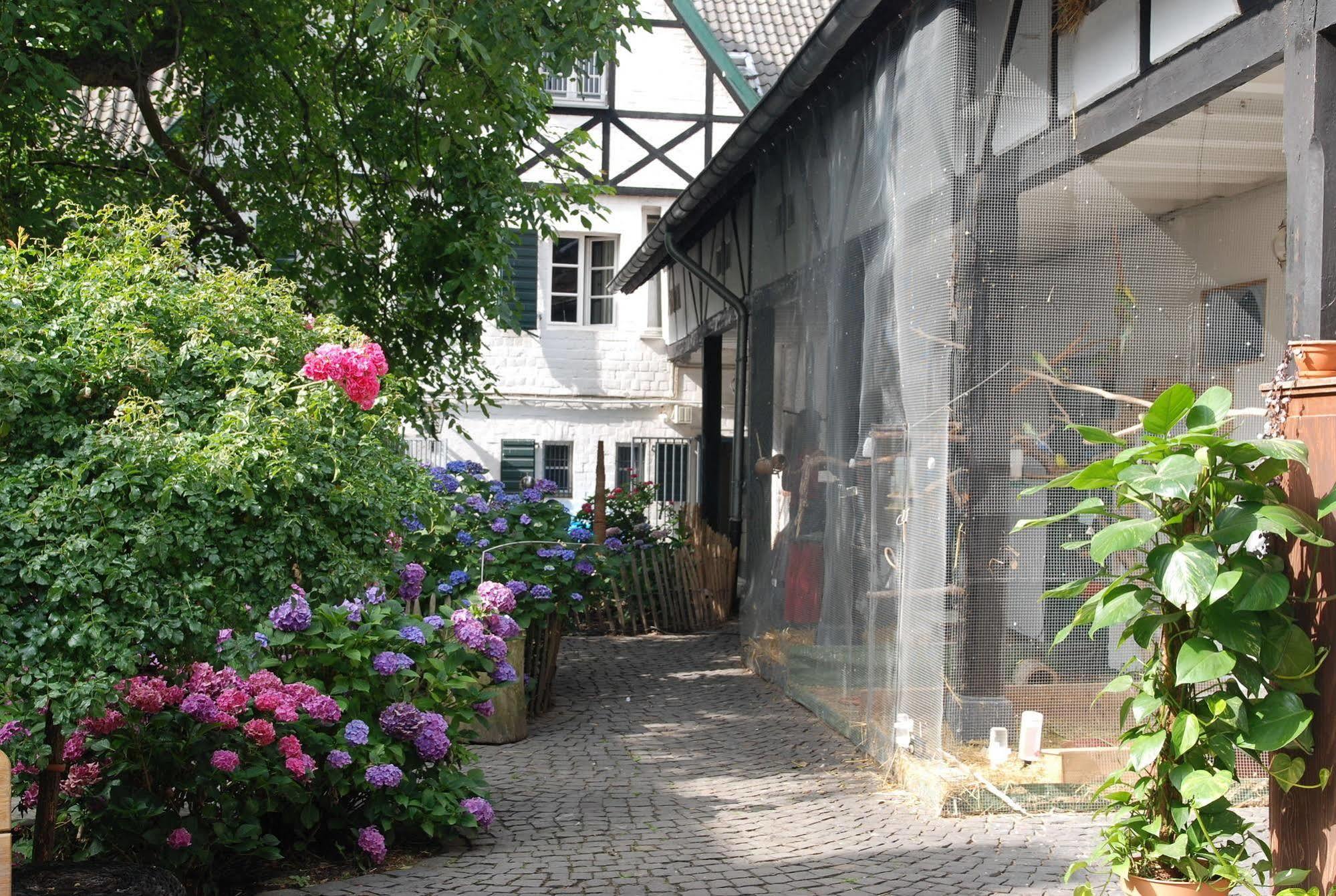 Rhein River Guesthouse - Direkt Am Rhein Leverkusen Ngoại thất bức ảnh
