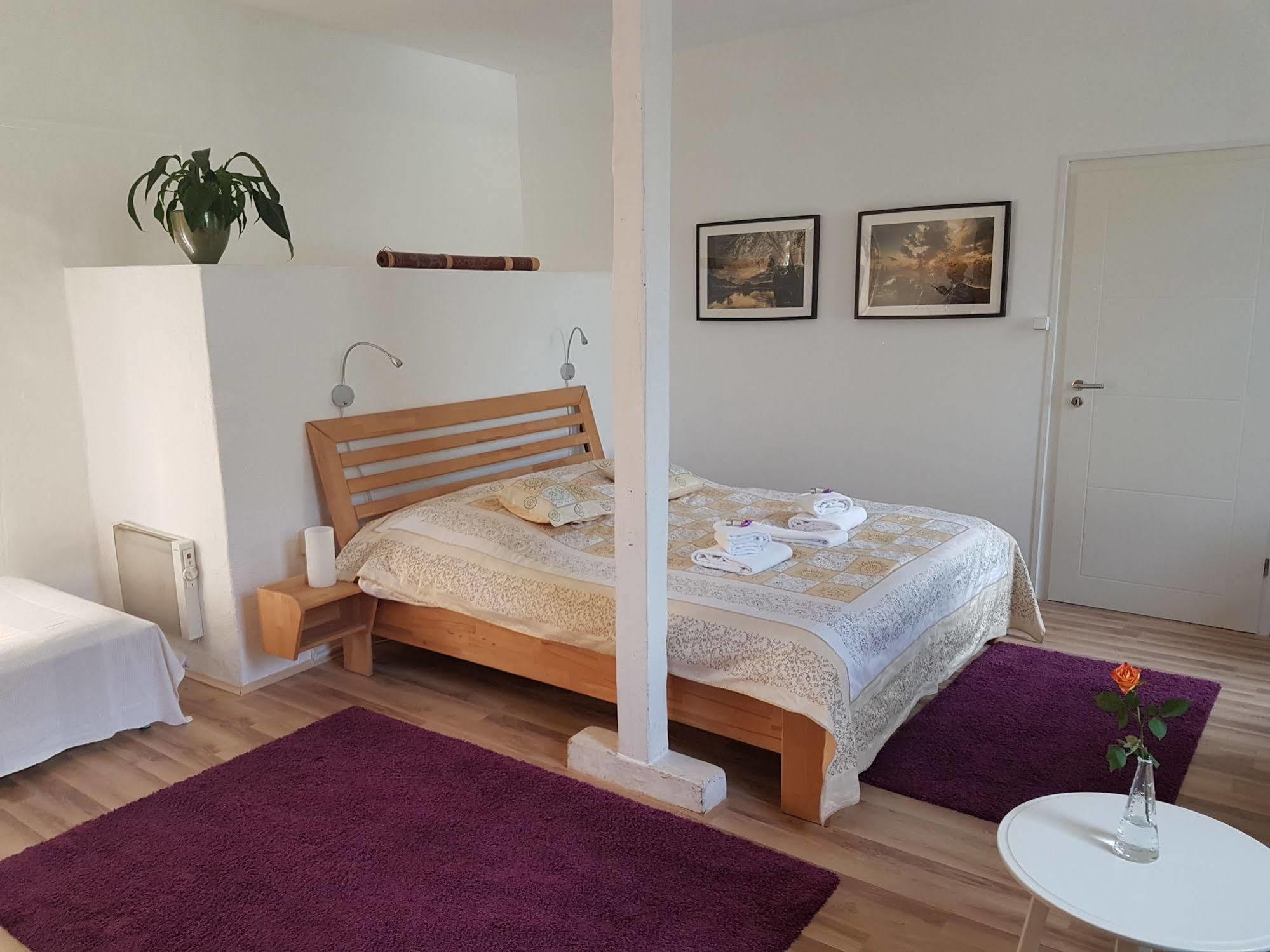 Rhein River Guesthouse - Direkt Am Rhein Leverkusen Ngoại thất bức ảnh